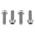 Wolf Tooth Precision Anodized Water Bottle Cage Bolts  4 Pcs. Silver