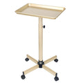 Salon Tray on Wheels, Hair Stylist Tray with Adjustable Height for Salon and SPA Use, Tattoo Tray and Dental Tray