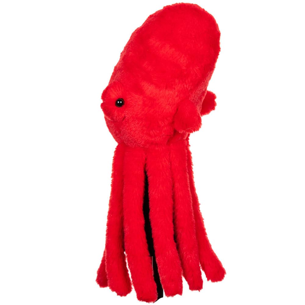 Octopus