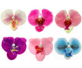 ALIMITOPIA Flower Hair Clip Bohemia Hawaiian Fabric Artificial Moth Orchid Flower Alligator Hair Clip Hairpin Barrette Headdress Bobby Pins Headwear H