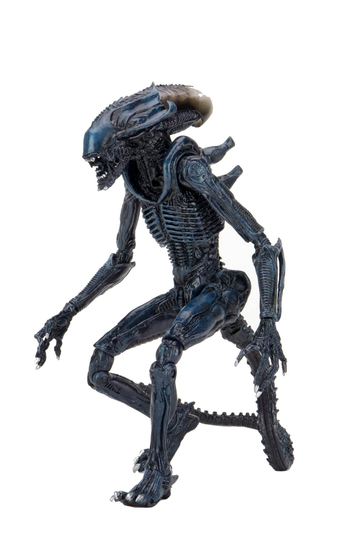 NECA Alien vs Predator 7inch Scale Arachnoid Alien Action Figure