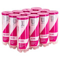 WILSON Intrigue All Court Pink Tennis Balls (1/2Case)