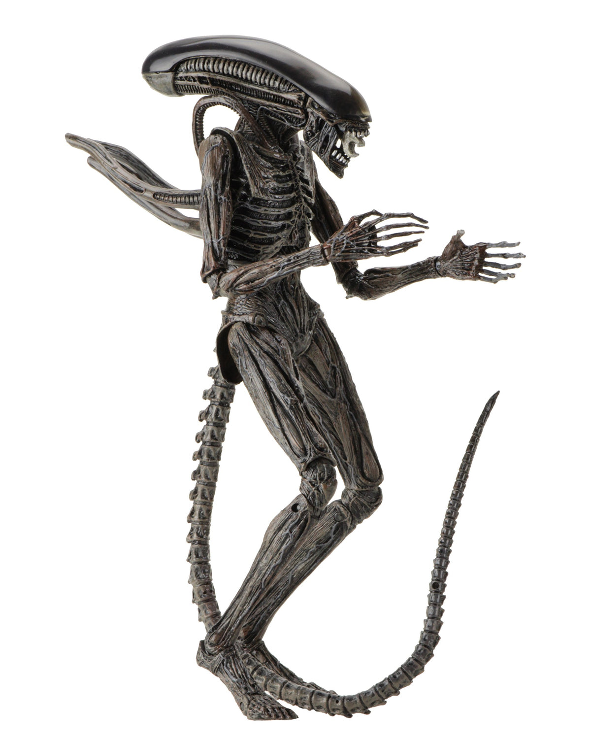 NECA Alien: Covenant  7inch Scale Action Figure  Xenomorph Action Figure