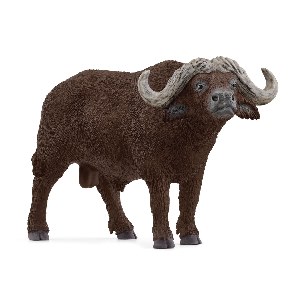 Schleich Wild Life New 2024 Wild Animal Toy African Buffalo Figurine