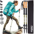 Foxelli Carbon Fiber Trekking Poles  Lightweight Collapsible & ShockAbsorbent Hiking Poles w/Cork Grips, Lever Locks & All Terrain Accessories
